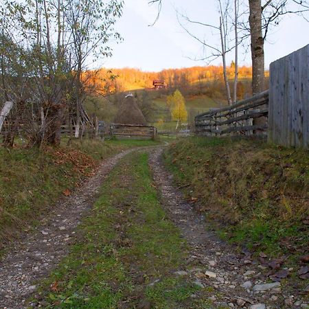 Kings Valley - Sunny Botesti Cîmpeni Екстериор снимка