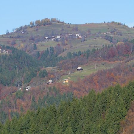 Kings Valley - Sunny Botesti Cîmpeni Екстериор снимка